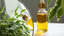 Natural Oils and Herbal Extracts for Hair Growth and Scalp Health